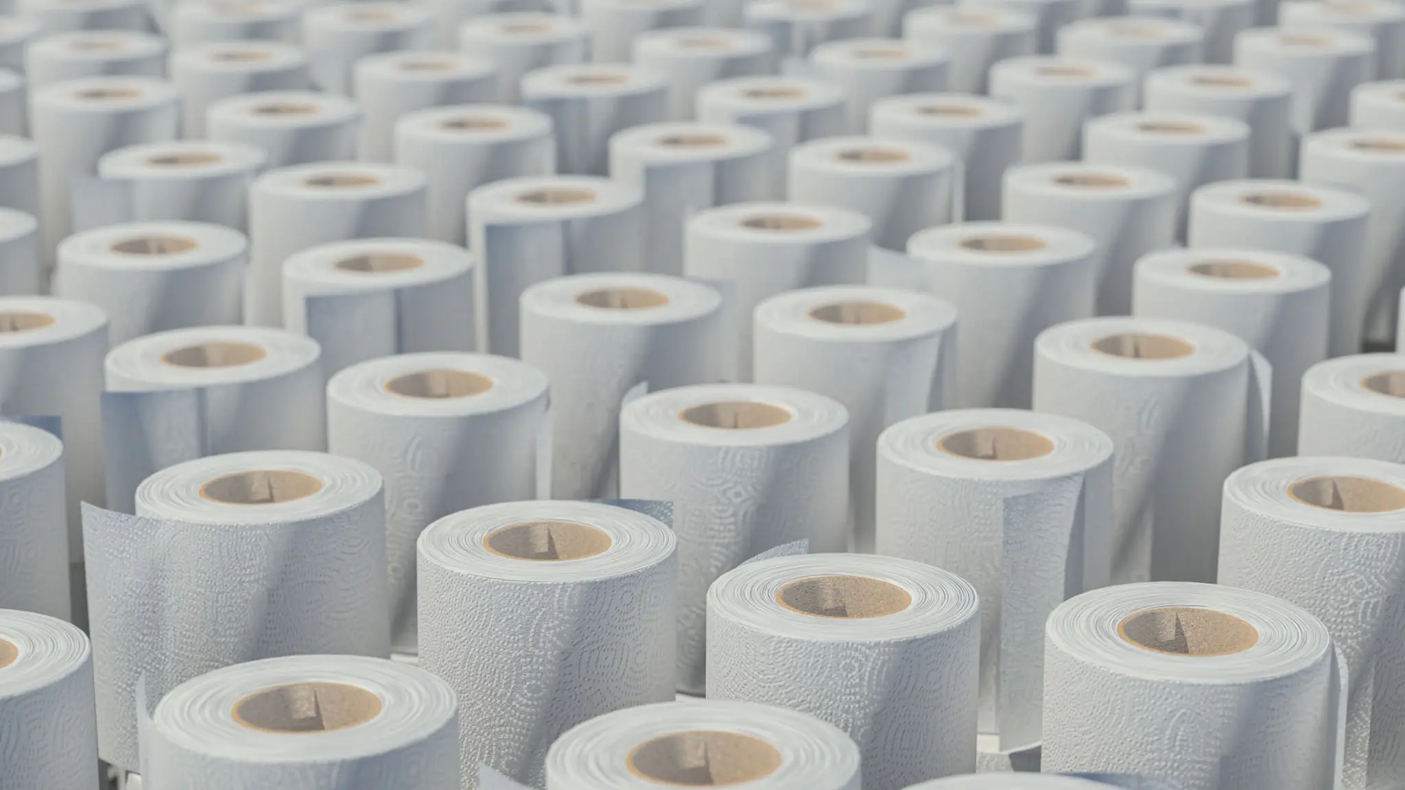 Rows of white paper towel rolls.