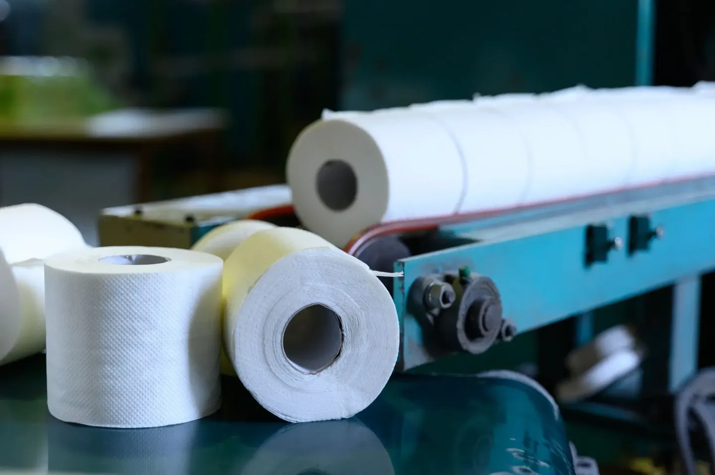 Toilet paper rolls on production line.