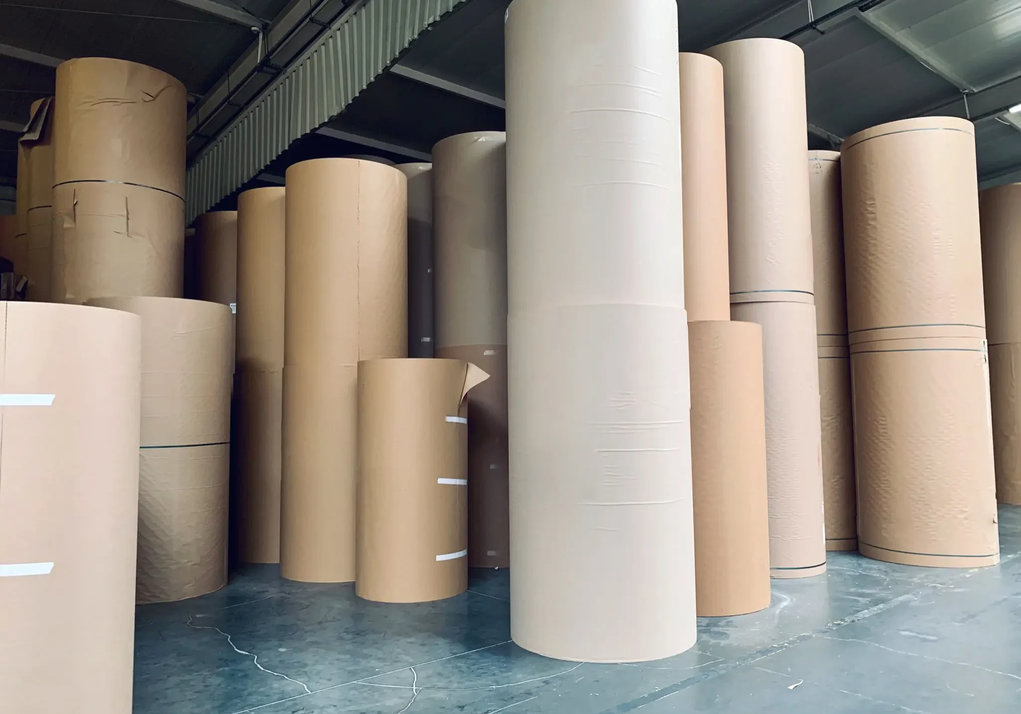 Large rolls of brown paper in warehouse.